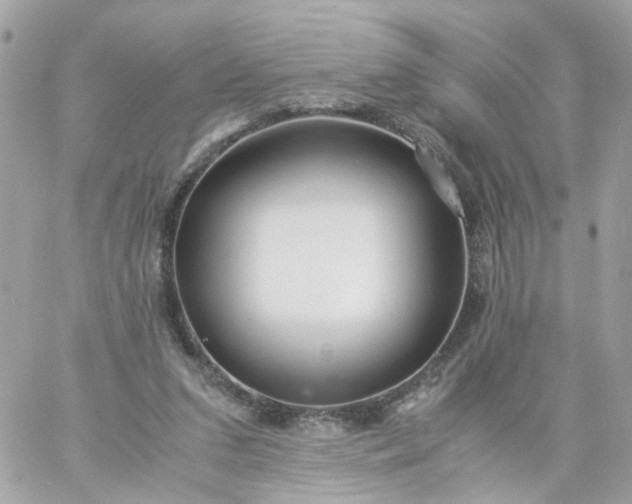 X0000059250207200510282004