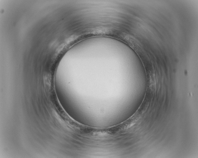 X0000059250208200510282004