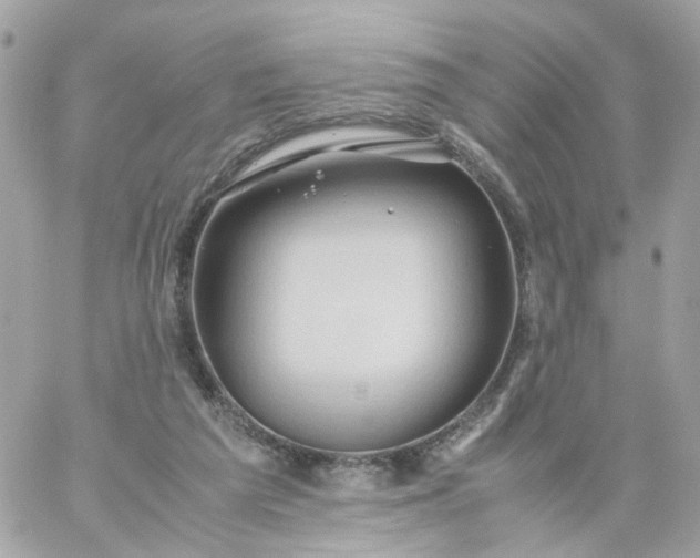 X0000059250209200510282004