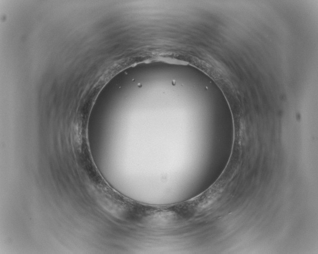 X0000059250210200510282004