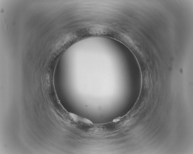 X0000059250211200510282004