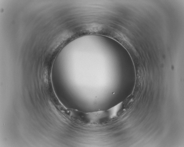 X0000059250212200510282004