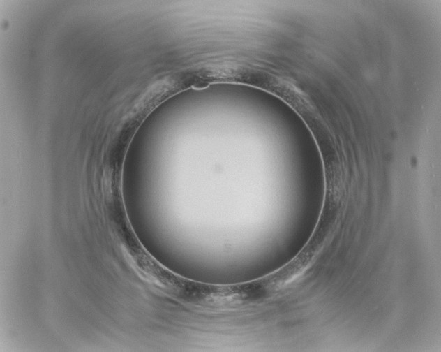 X0000059250213200510282004