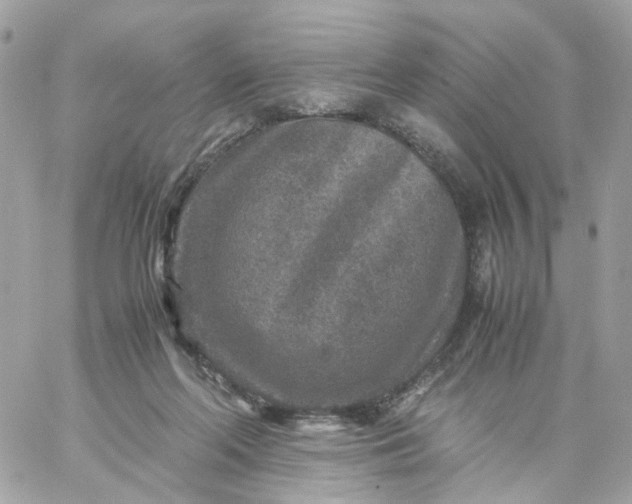 X0000059250214200510282004