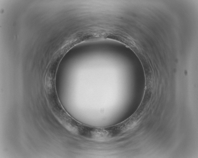 X0000059250215200510282004