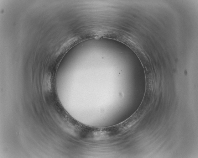 X0000059250216200510282004