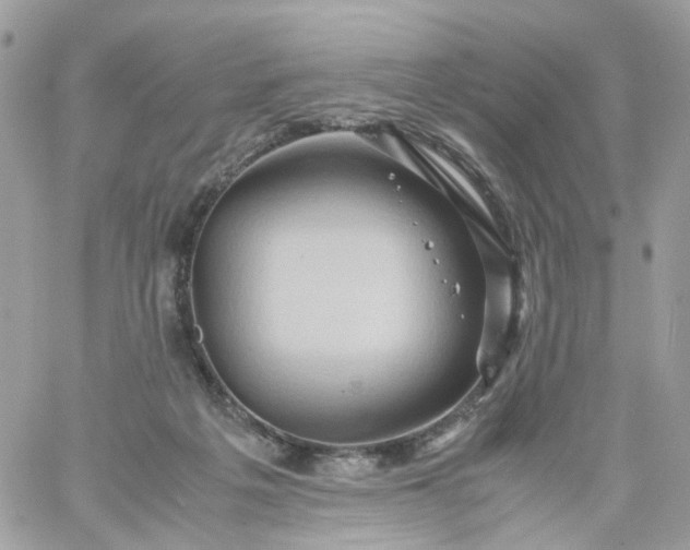 X0000059250217200510282004