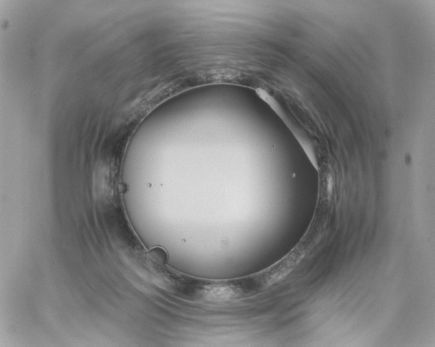 X0000059250218200510282004