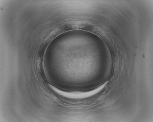 X0000059250219200510282004