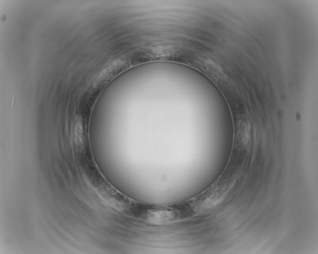 X0000059250220200510282004