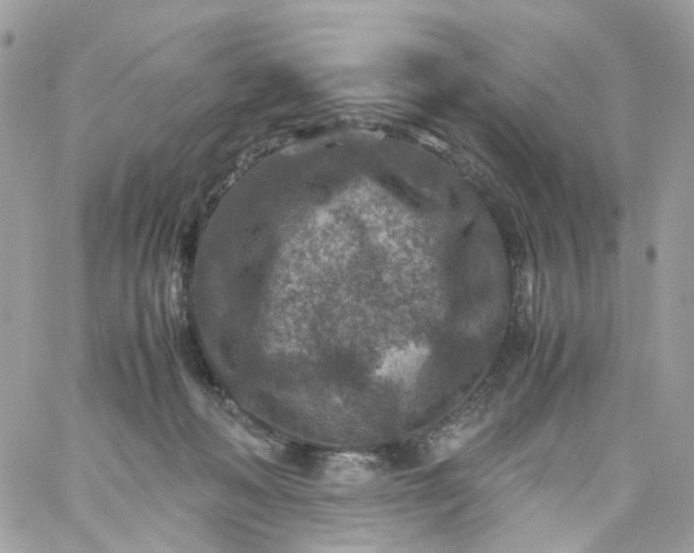 X0000059250222200510282004