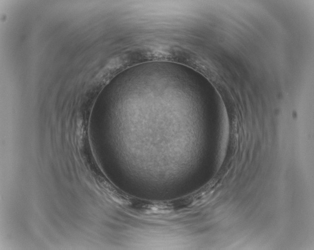 X0000059250223200510282004