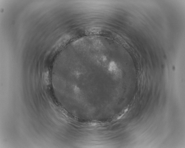 X0000059250224200510282004