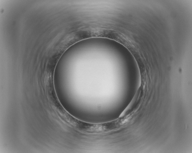 X0000059250225200510282004