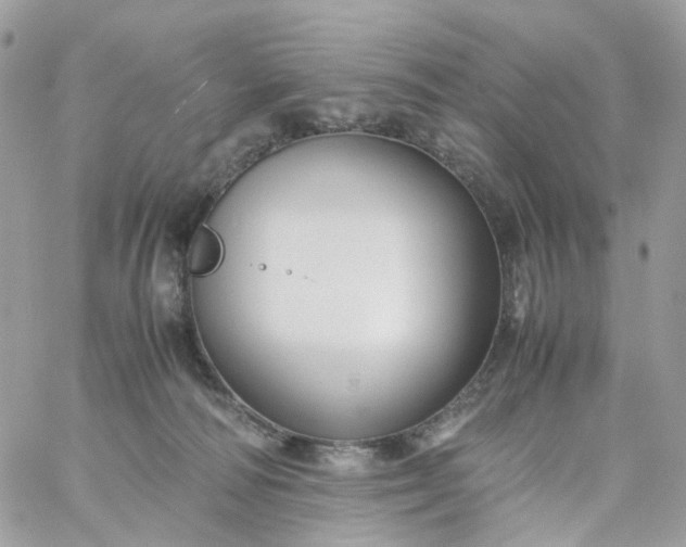 X0000059250226200510282004