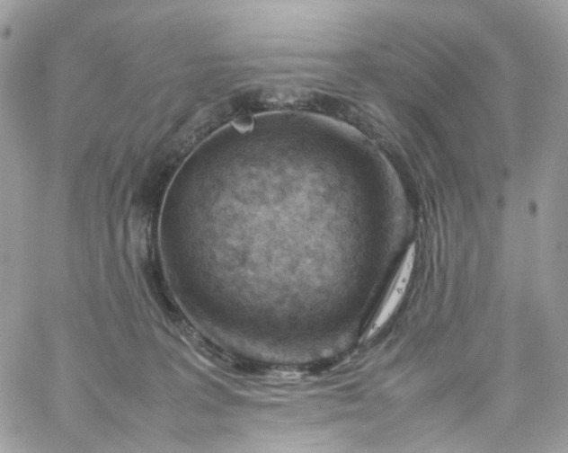 X0000059250227200510282004