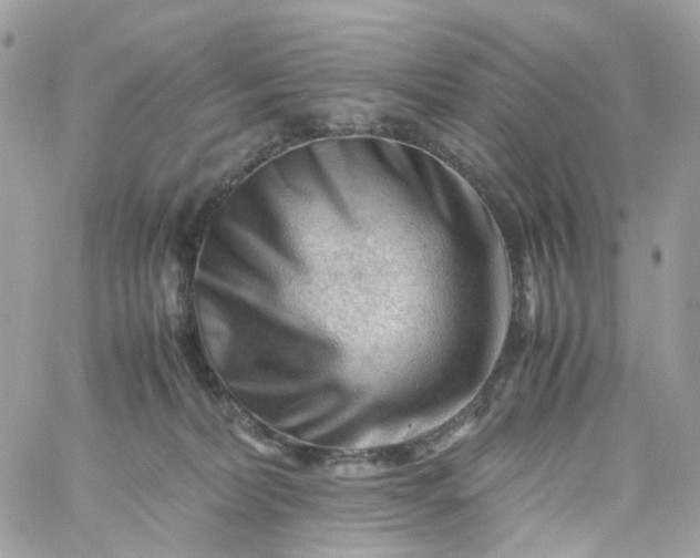 X0000059250228200510282004