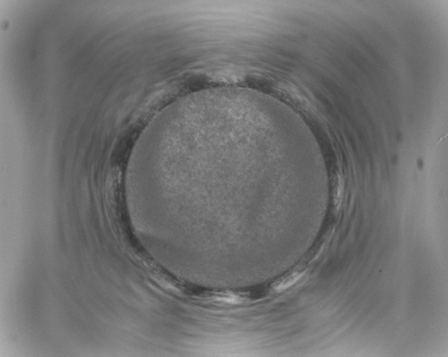 X0000059250229200510282004