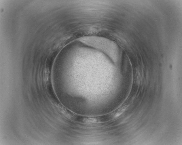 X0000059250230200510282004