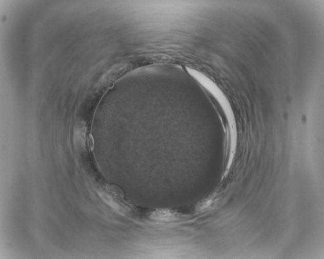 X0000059250231200510282004