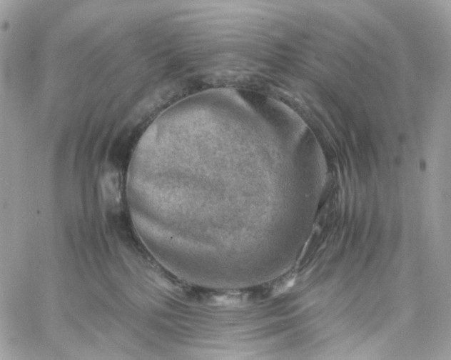 X0000059250232200510282004