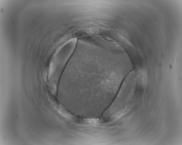 X0000059250233200510282004