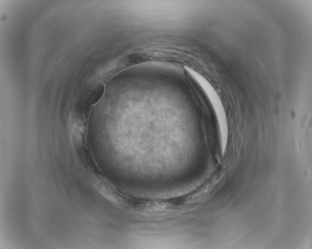 X0000059250235200510282004