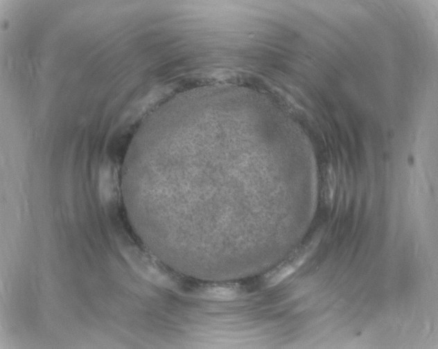 X0000059250236200510282004