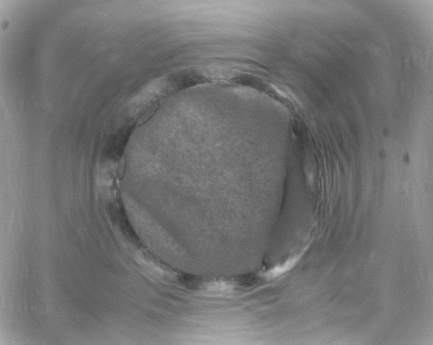 X0000059250237200510282004