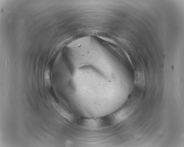 X0000059250238200510282004