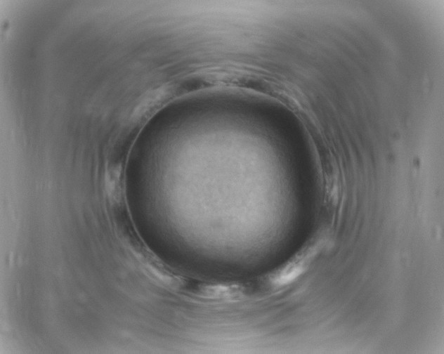 X0000059250239200510282004