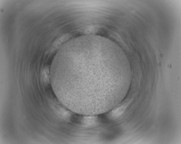 X0000059250240200510282004