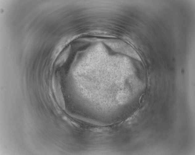 X0000059250241200510282003