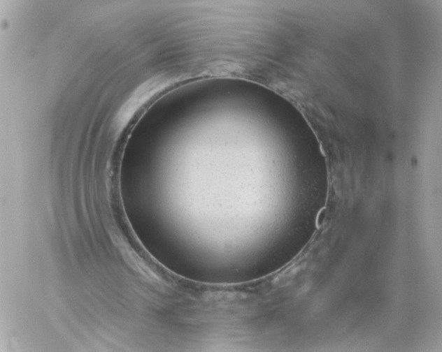 X0000059250242200510282003