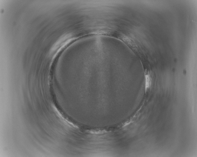 X0000059250243200510282003