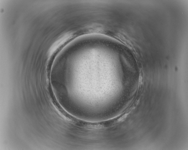 X0000059250245200510282003