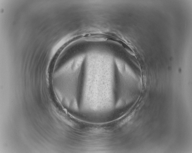 X0000059250246200510282003