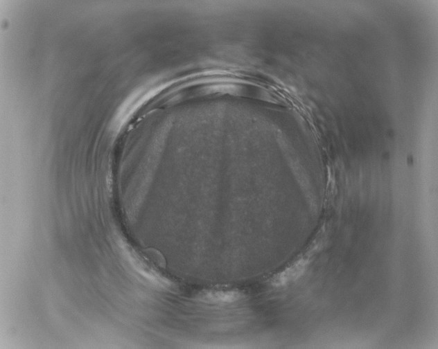 X0000059250247200510282003