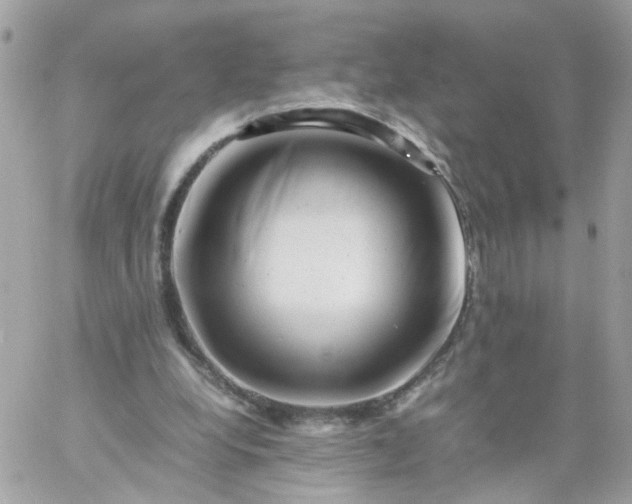 X0000059250248200510282003