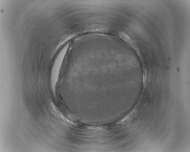 X0000059250249200510282003