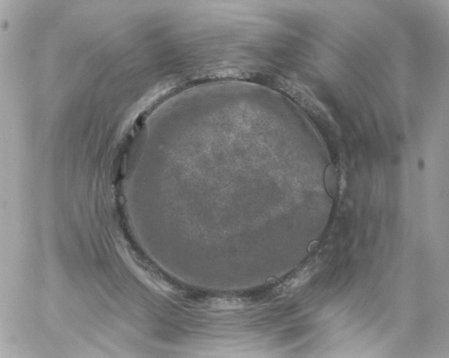 X0000059250250200510282003