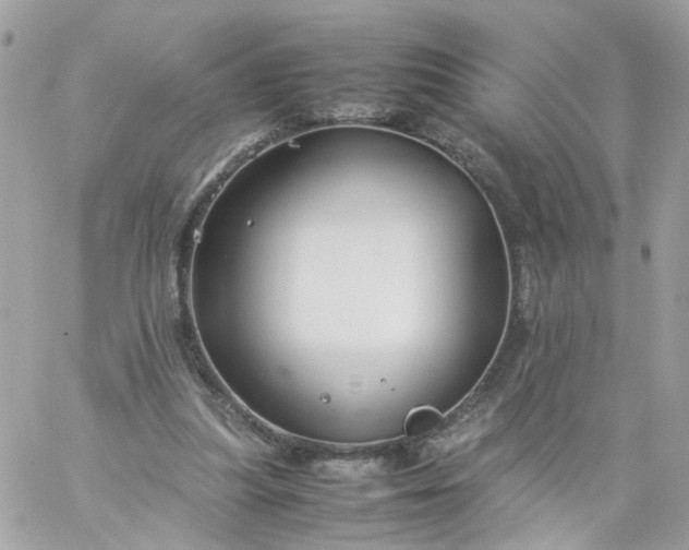 X0000059250251200510282003