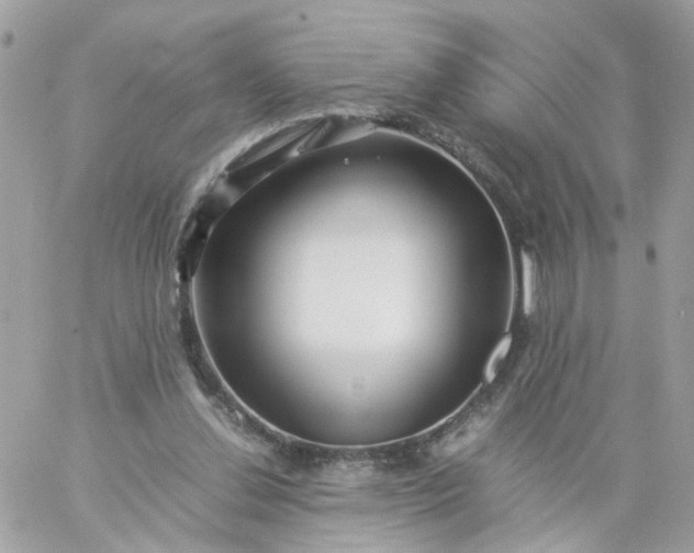 X0000059250252200510282003