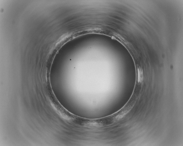 X0000059250253200510282003