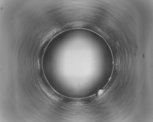 X0000059250254200510282003