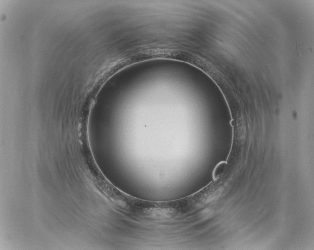 X0000059250255200510282003