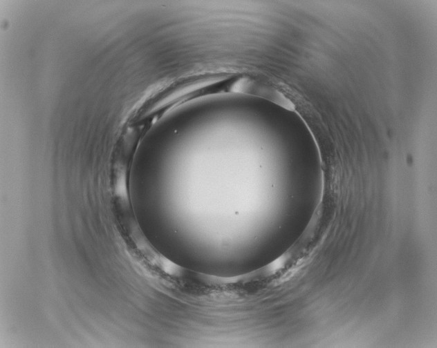 X0000059250256200510282003