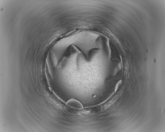 X0000059250257200510282003