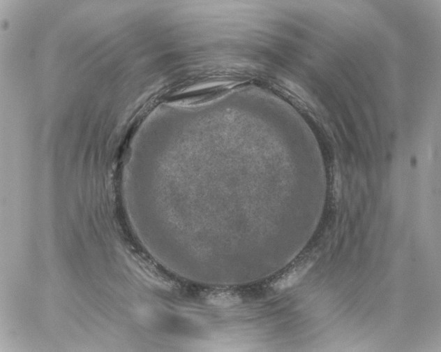 X0000059250258200510282003