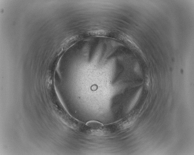 X0000059250259200510282003